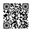 QR Code (код быстрого отклика)