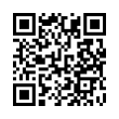 QR Code (код быстрого отклика)