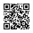 QR Code (код быстрого отклика)