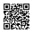 QR Code (код быстрого отклика)