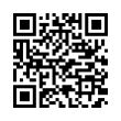 QR Code (код быстрого отклика)