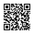 QR Code (код быстрого отклика)