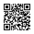 QR Code (код быстрого отклика)