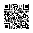 QR Code (код быстрого отклика)