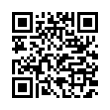 QR Code (код быстрого отклика)