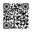 QR Code (код быстрого отклика)