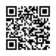 QR Code (код быстрого отклика)