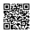 QR Code (код быстрого отклика)
