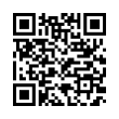 QR Code (код быстрого отклика)