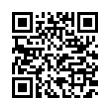 QR Code (код быстрого отклика)