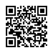 QR Code (код быстрого отклика)