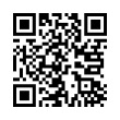 QR Code (код быстрого отклика)