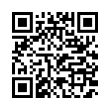 QR Code (код быстрого отклика)